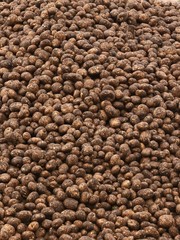 harvesting potatoes on field