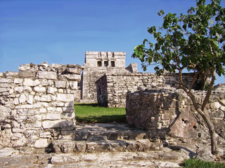 Mexique, temple de Tulum