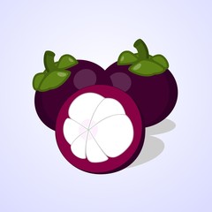 Cartoon sweet mangosteen isolated on grey background. Vector illustration. Fruits and vegetables collection.