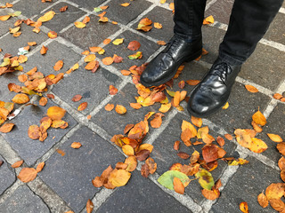 Black shoes standing in the street with foliage
