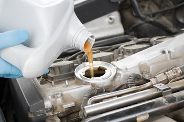 Pouring oil to engine. Car service