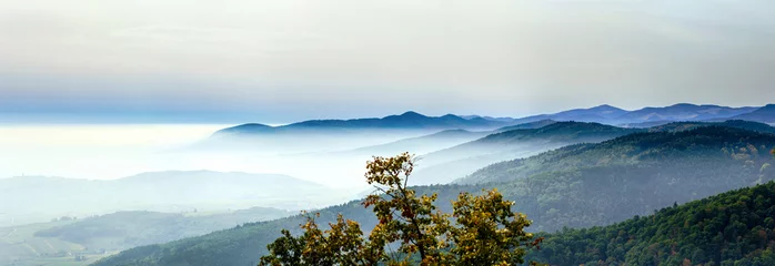  Beautiful mountains landscape from the top of the hill with fog © 31etc