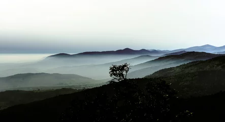 Foto op Plexiglas Prachtig bergenlandschap vanaf de top van de heuvel met mist © 31etc
