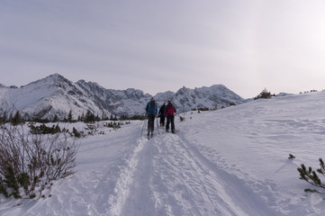 Naklejka na ściany i meble Panorama mountain winter landscape