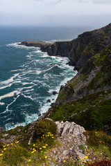 Fototapeta premium Fogher Cliffs in Ireland