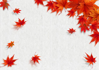 紅葉　フレーム 