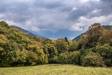 Obraz premium Trees on a landscape, Lake Iseo, Lombardy, Italy