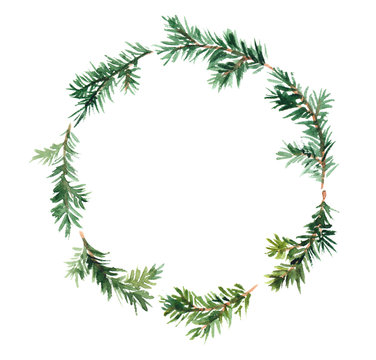 Spruce wreath. Watercolor