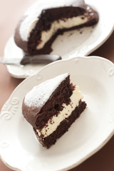 Slice of tasty homebaked chocolate cake