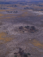 Luftaufnahme vom ausgetrockneten Okavango-Delta in der Kalahari