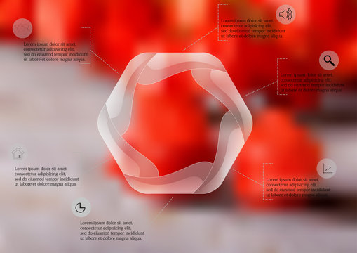 Infographic illustration template with hexagon divided to six parts