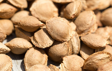 nuts from apricots as background
