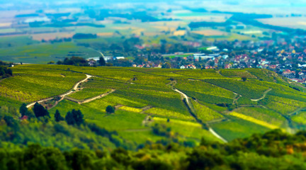 Obraz premium Aerial panoramic tilt-shift view to village Ribeauville from dro