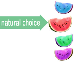 Watermelon slice, no GMO choice consept. Modified colors of fruit flesh. Vector illustration  eco selection.