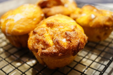 Pumpkin cinnamon rolls freshly baked in muffin tins