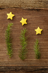 Subtle Christmas decoration