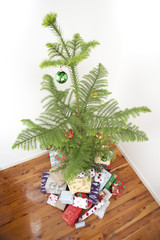 Fototapeta premium high angle christmas tree
