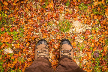 Autumn in the forest in the mountains in Italy with boots and orange leaves