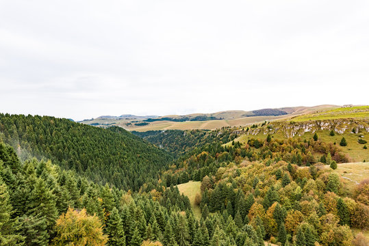 Fototapeta Autumn in the forest in the mountains with orange leaves in Italy