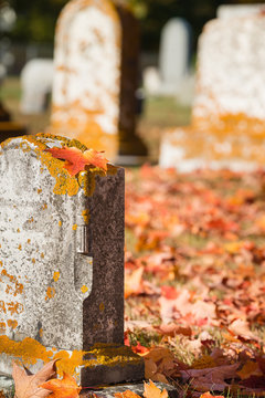Fallen maple leaf on tombstone in autumn cemetery