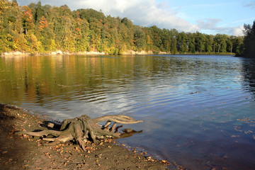 Autumn on the river