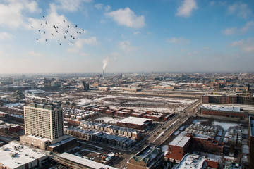Fototapeta na wymiar Aerial view of west loop downtown Chicago in Winter with birds