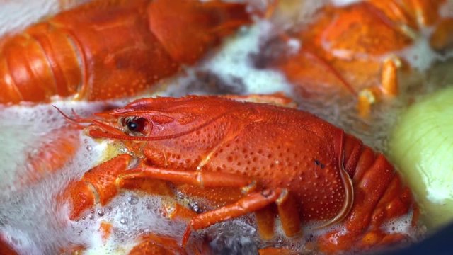 Boiling crayfish at saucepan, closeup

