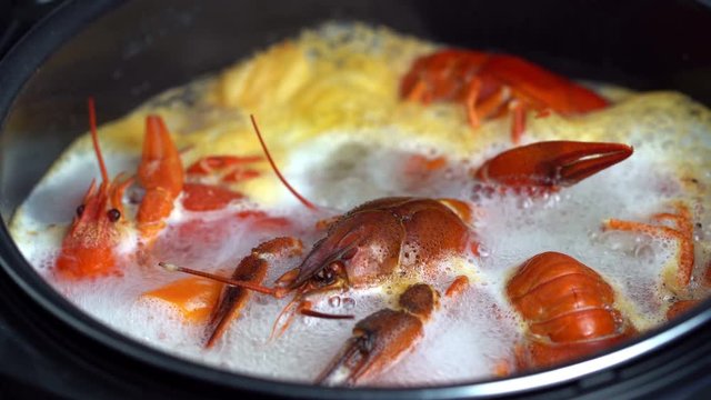 Boiling crayfish at saucepan, closeup

