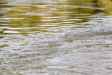 expanse of water in nature