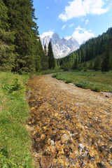 fiume in Val Venegia