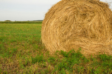 haystack on the green lawn