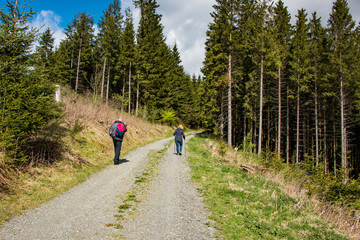 hiking trail in germany