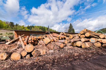 sawmill in germany