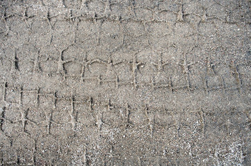 Tire tracks on the sand / Tire tracks on the sand / Bonneville / Texture of wet brown mud with bicycle tyre tracks © wegosio