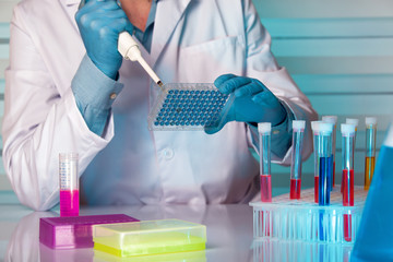 hands of a researcher pipetting samples in micro plate / Scientist in lab holding a 96 well plate with samples for analysis