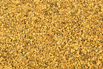 Bee pollen. Contains almost all of the nutrients required by the human body to thrive. Rich in vitamins,minerals,proteins,lipids,fatty acids,enzymes,carotenoids, bioflavonoids. Close up. 
