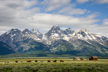 Grand Teton National Park