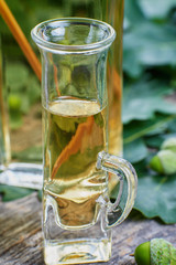 Liqueur made from oak tree bark and alcohol