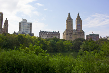 Fototapeta na wymiar Central Park,Newyork City