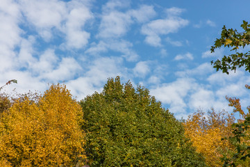 Fototapeta premium herbst