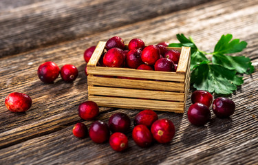 Fresh cranberry on wooden background