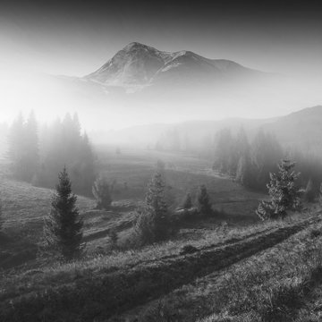 Fototapeta Carpathian picture. Black and white