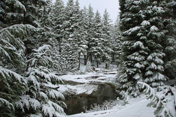 Winding stream in a snowy day on June