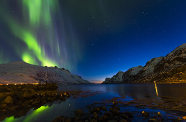 Fototapeta na wymiar The polar lights in Norway,Tromso ,Ersfjord
