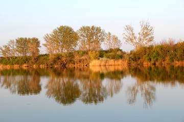 Obraz premium Riverside with trees