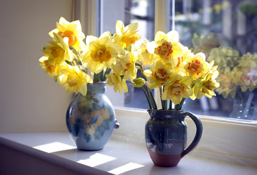 Cheerful yellow vases of daffodils