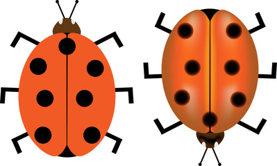 Obraz premium ladybird, ladybug,Ladybird vector illustration,