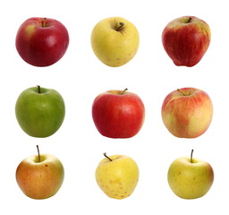 apples isolated on white background, with clipping path, high resolution