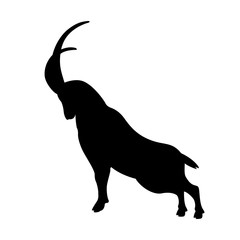 Mountain goat vector illustration  black silhouette