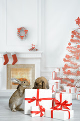Zwei Hasen sitzt in einem weihnachtlichen Wohnzimmer mit Kamin, Geschenken und Weihnachtsbaum, einer sitzt auf einen Geschenk der zweite hat die Vorderpfoten auf dem Geschenk. - 124277518